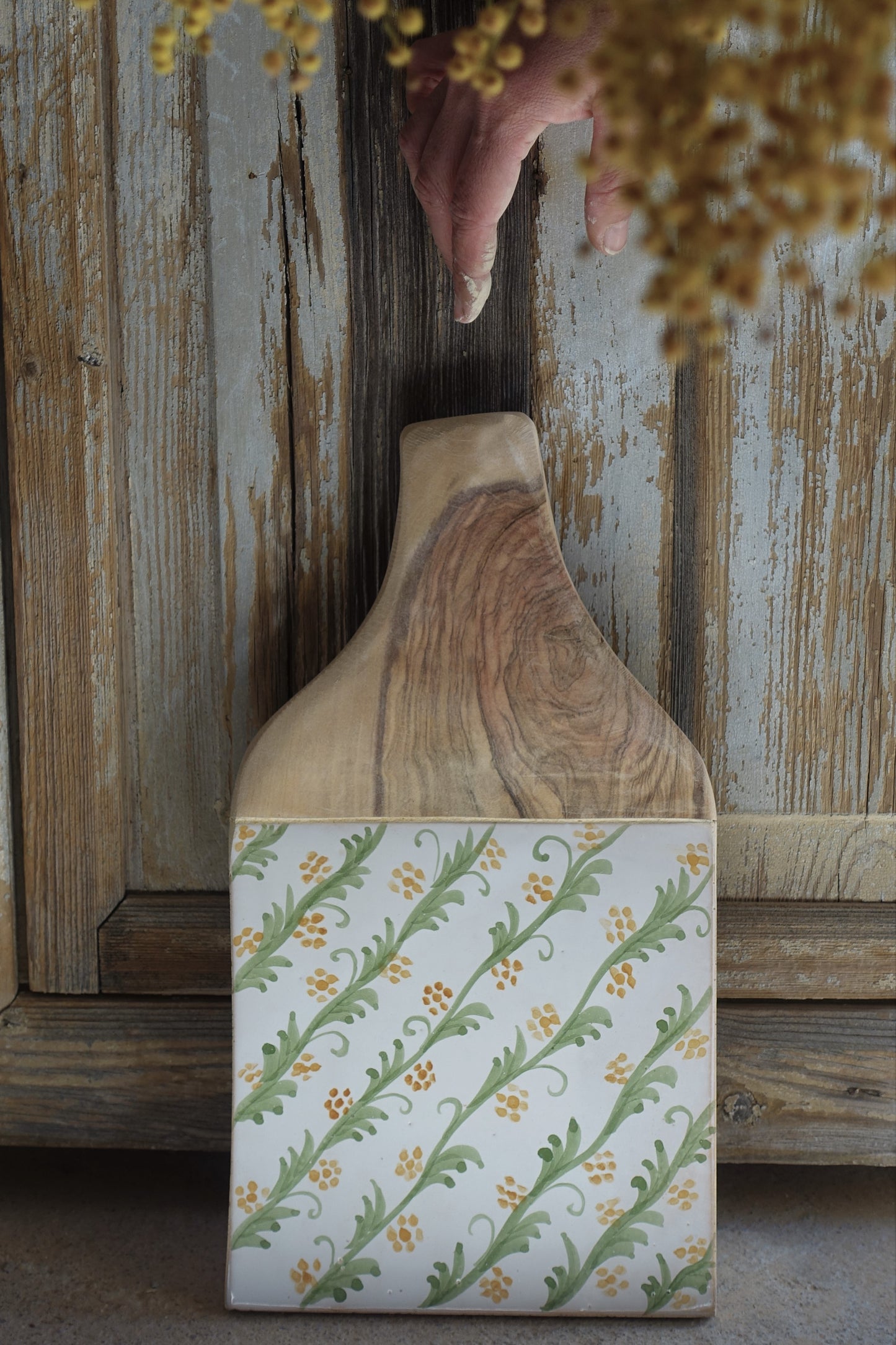 Tabla Mimosa